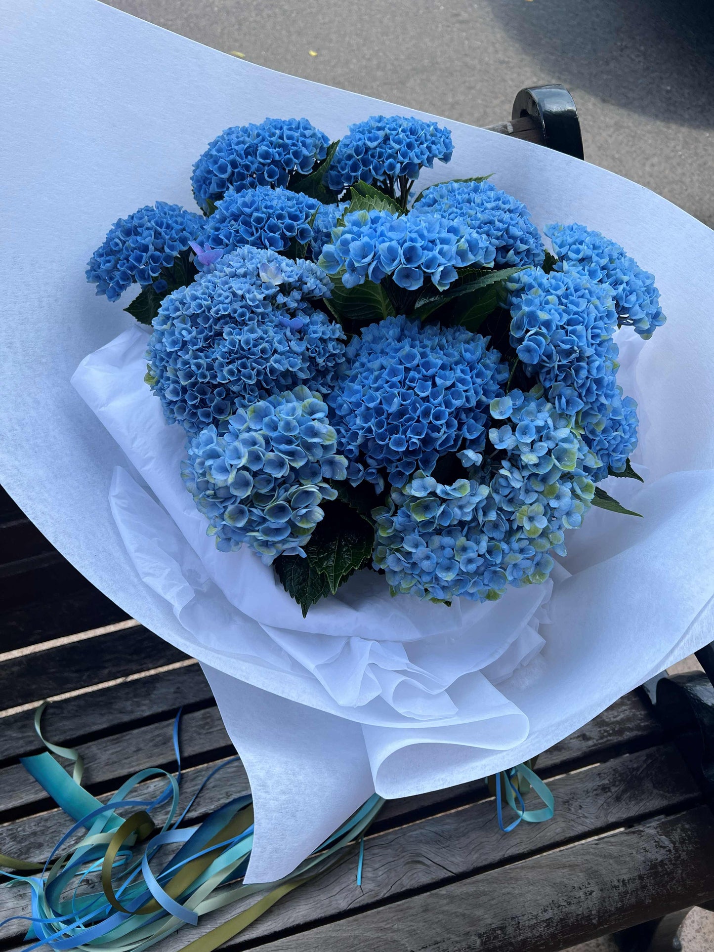 Mass of One Flower - Summer