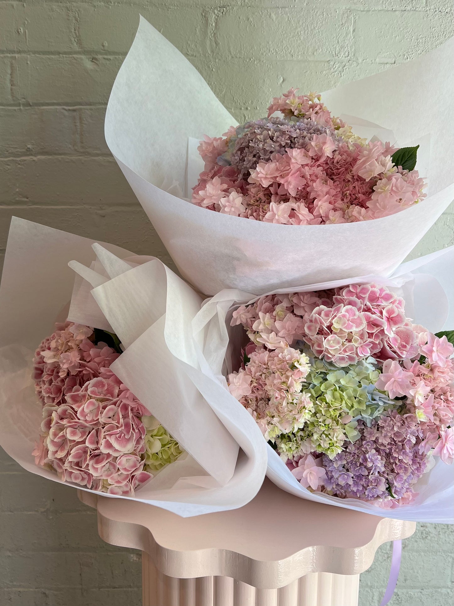 Mass of One Flower - Early Summer