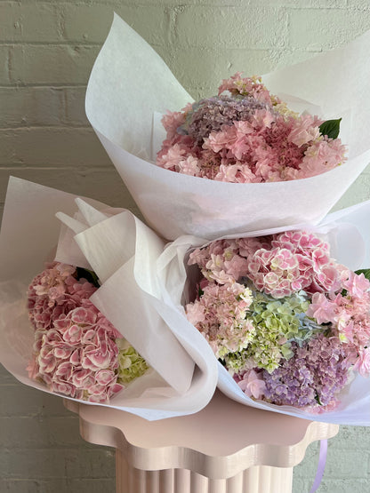 Mass of One Flower - Early Summer