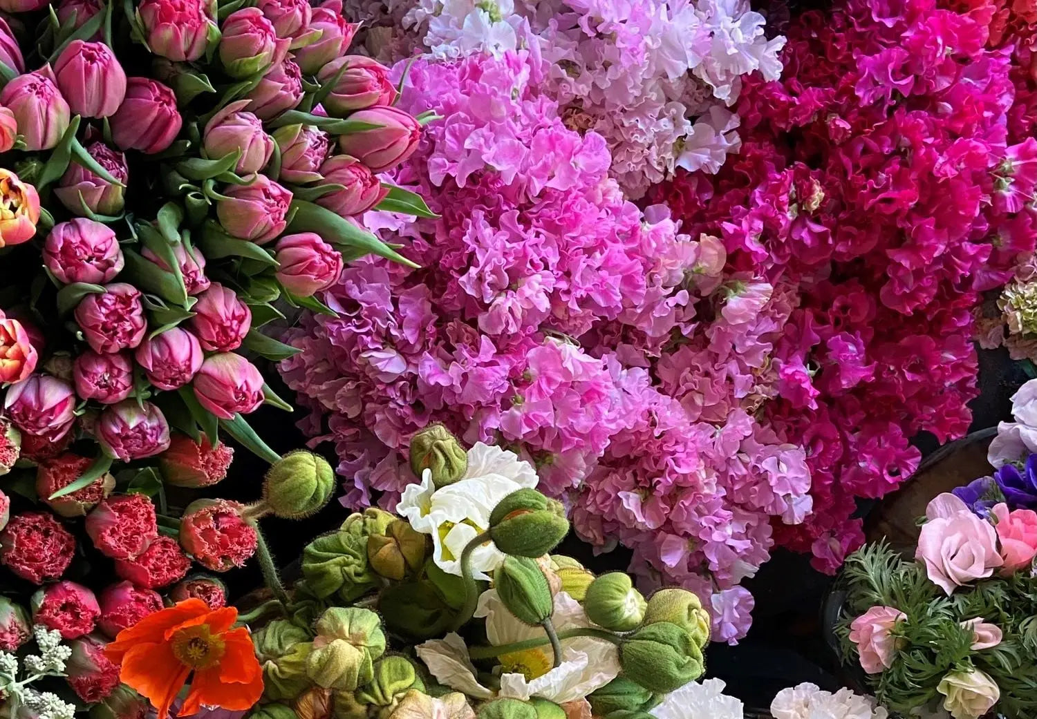 Fresh Shop flowers