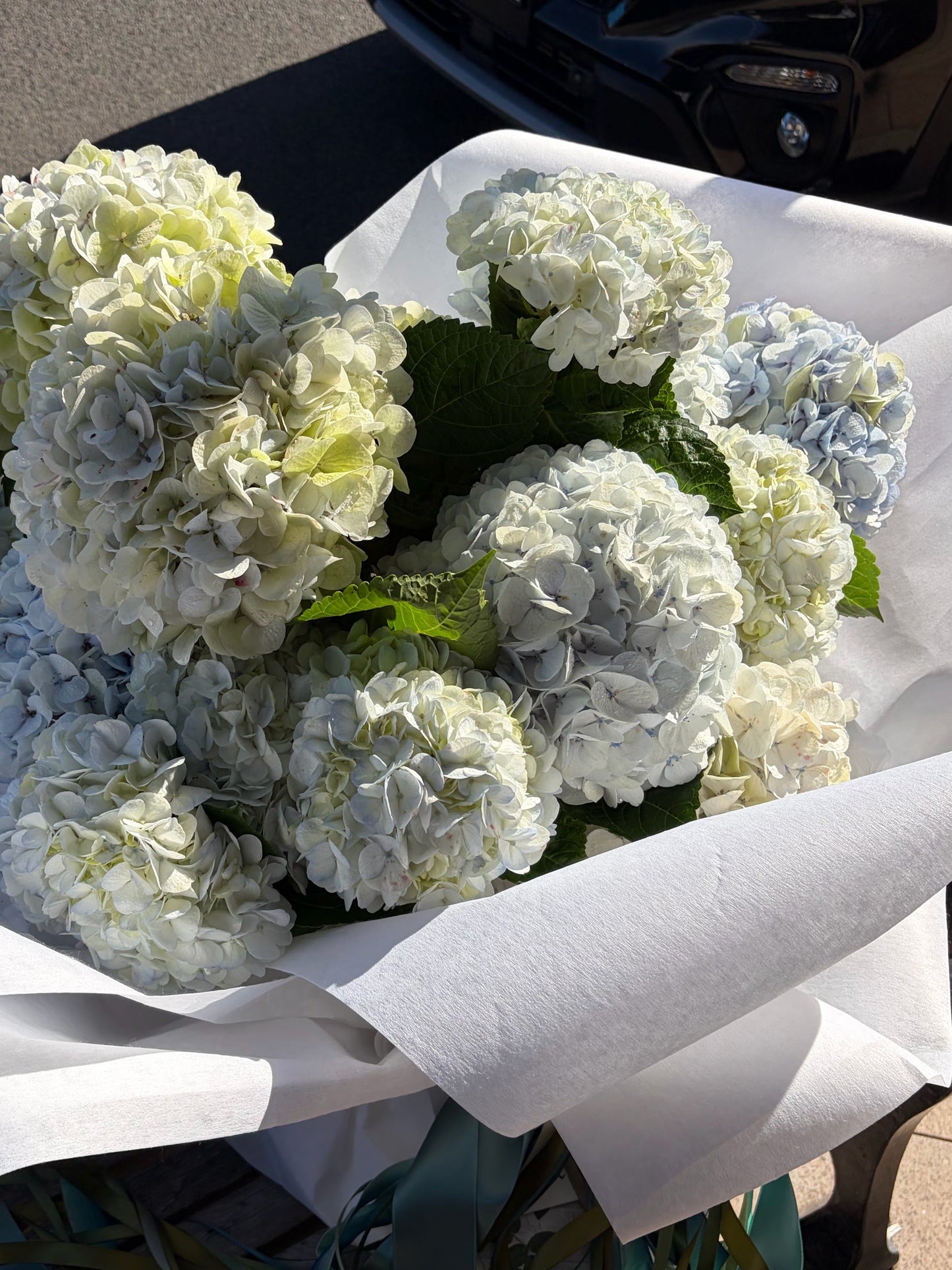 Seasonal Mass of One Flower - Winter