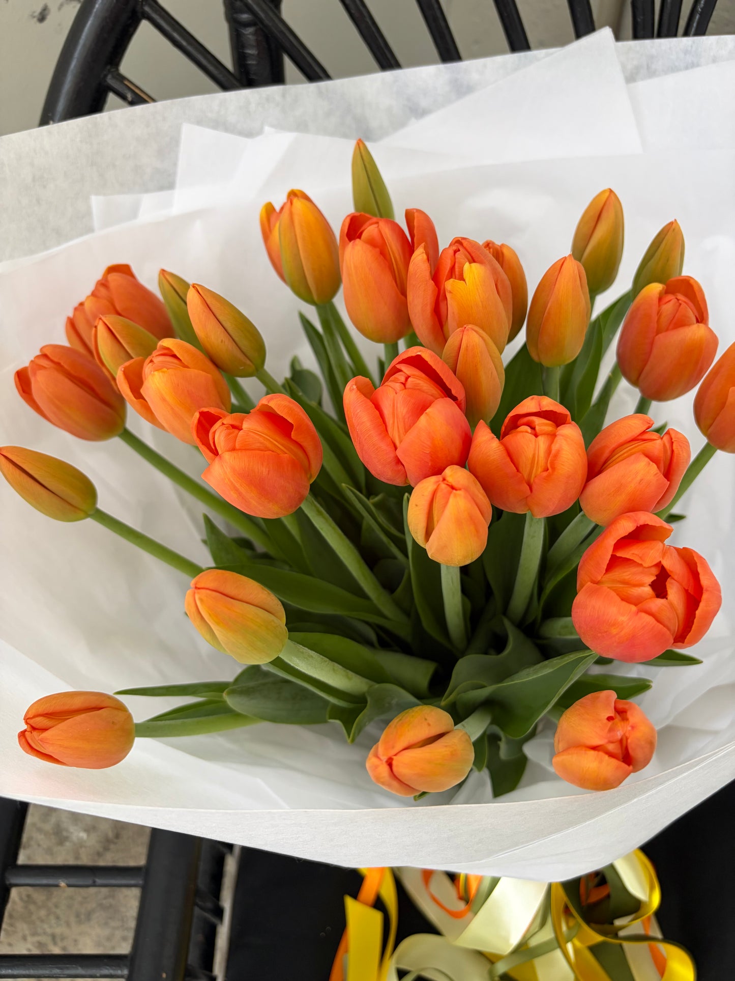 Seasonal Mass of One Flower - Winter