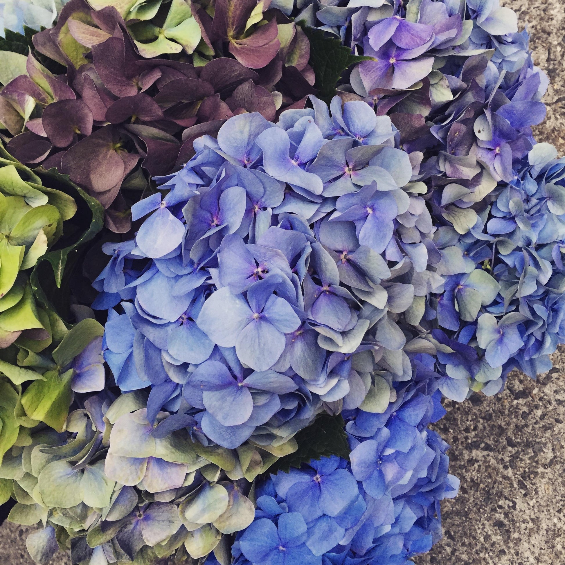 Mass Flower Bouquet